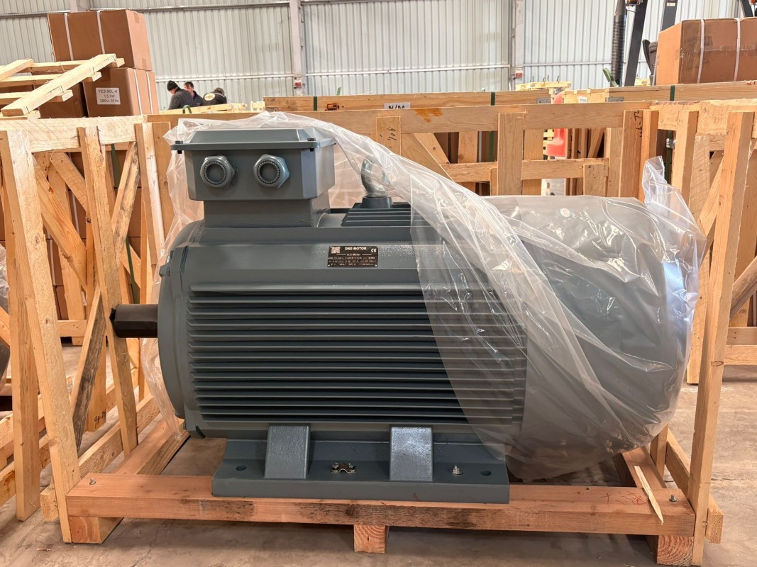 Pik Döküm Gövde Elektrik Motorları