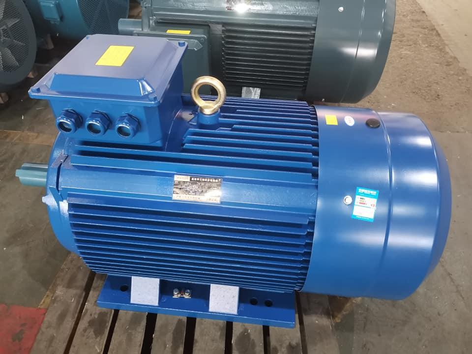 3 Fazlı Elektrik Motorları